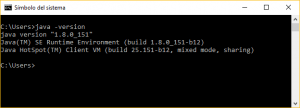 java-version-success
